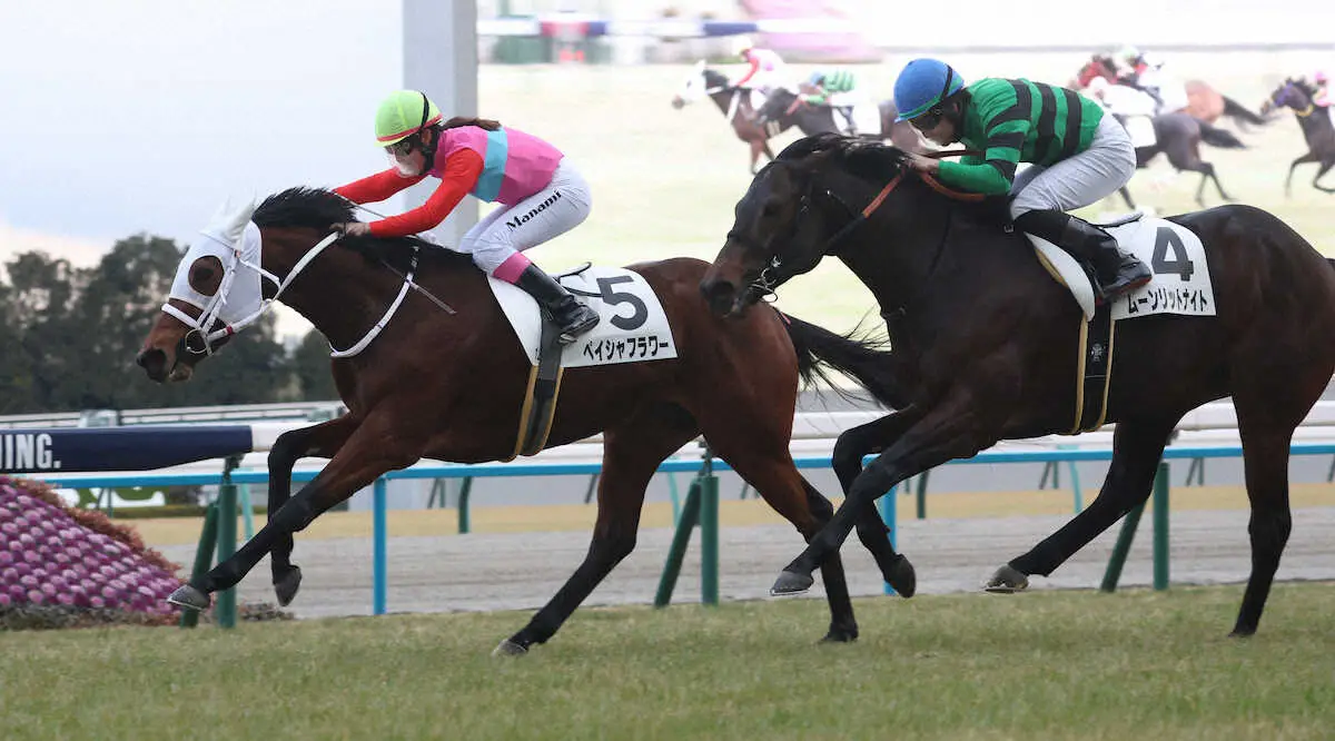 ＜京都12R＞後続を振り切った永島まなみ騎乗のペイシャフラワー（左）（撮影・亀井　直樹）