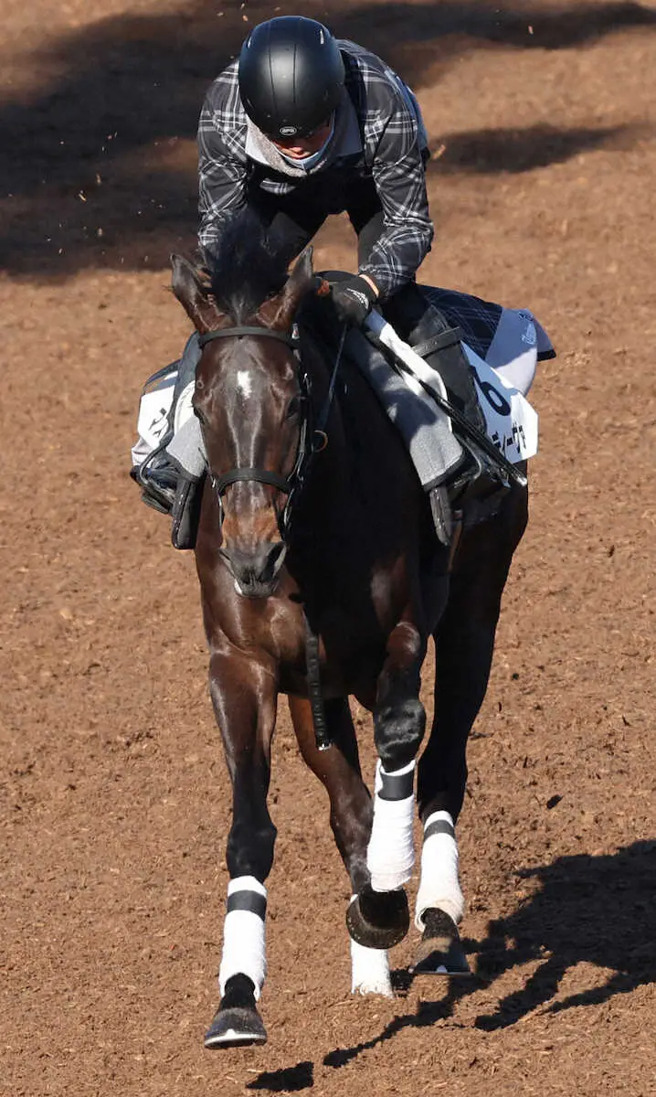 初のマイル戦に挑むマスクトディーヴァ