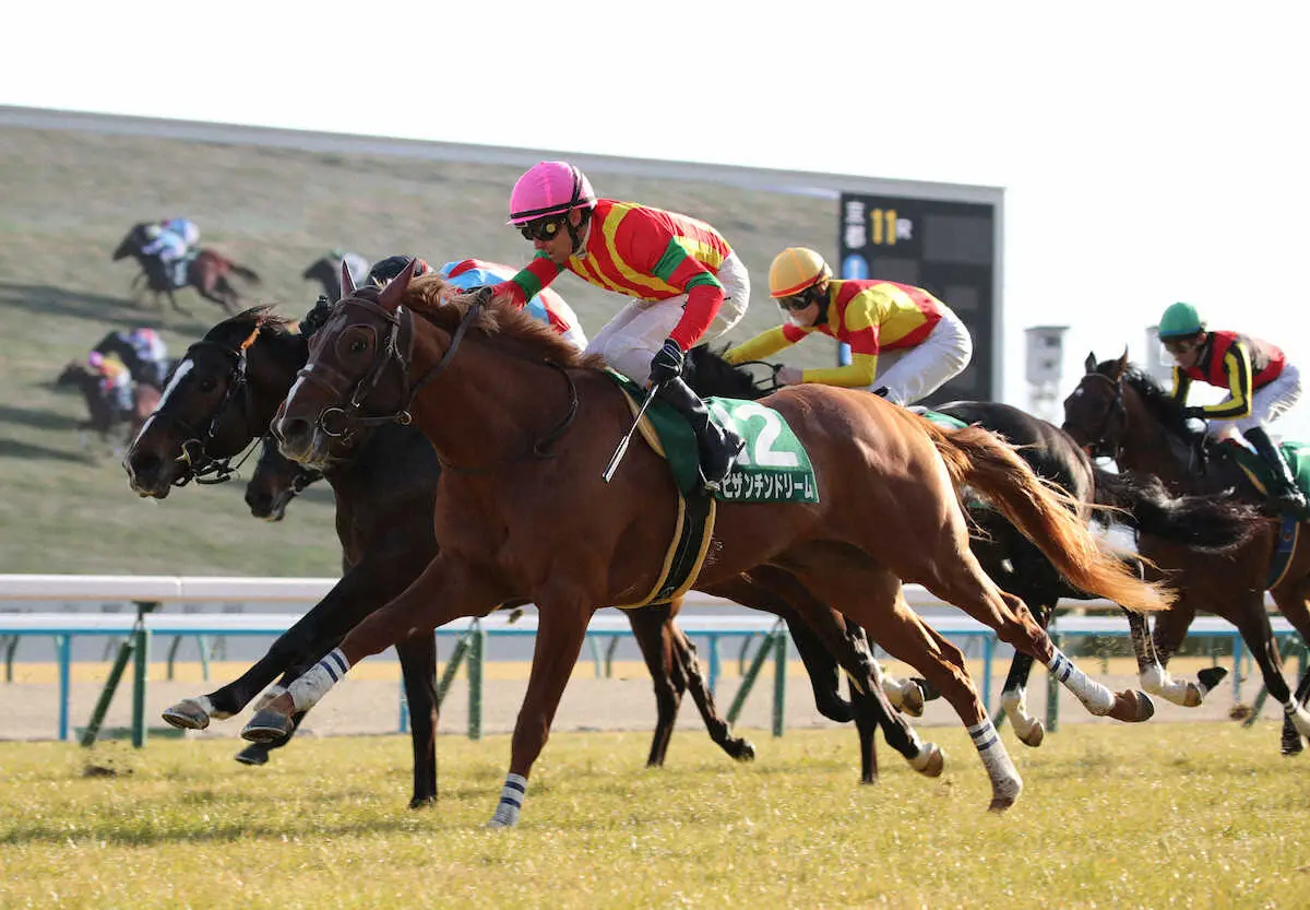 ＜京都　11R・きさらぎ賞＞1着でゴールしたビザンチンドリーム（手前）（撮影・後藤　大輝）