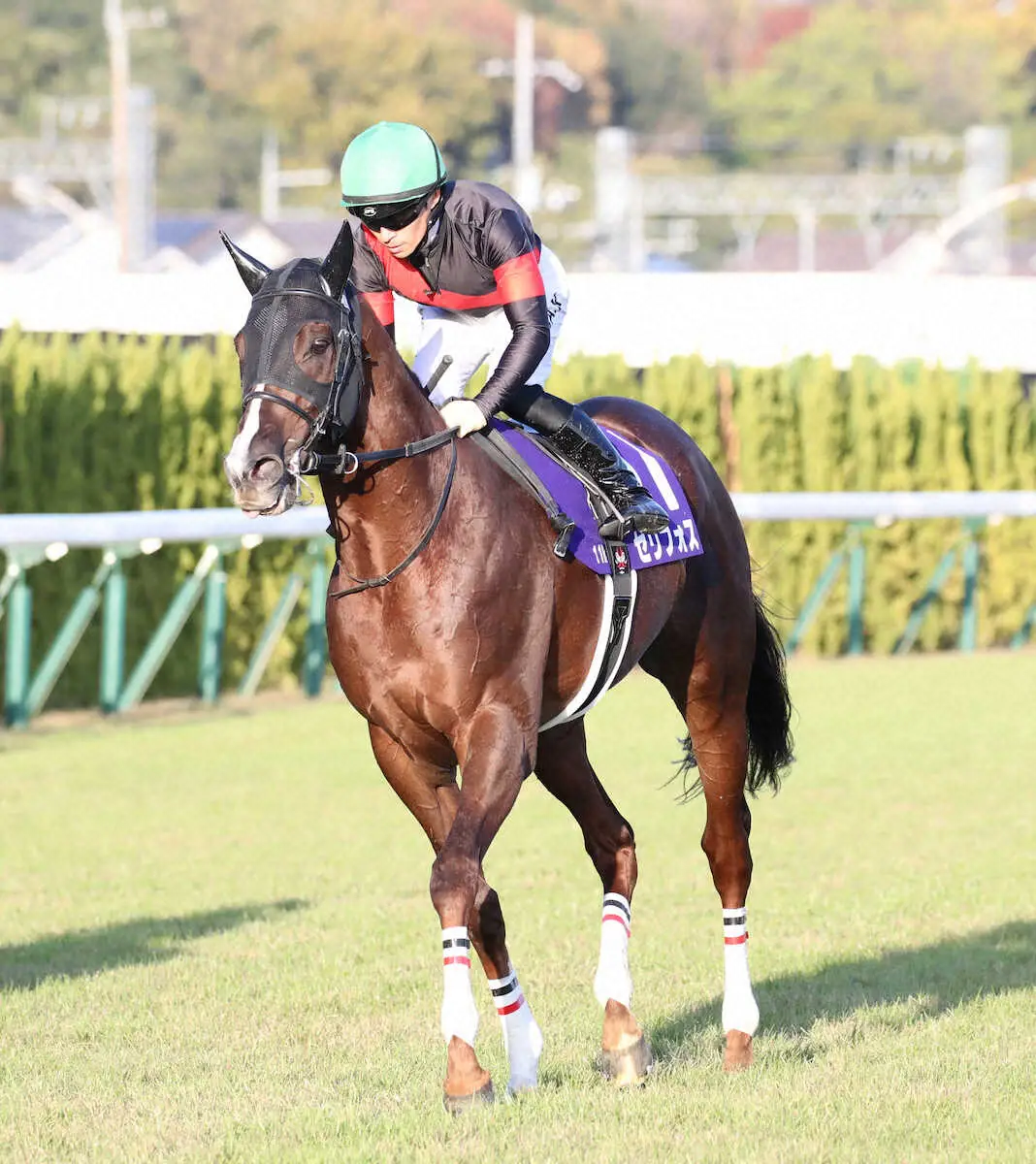 セリフォス