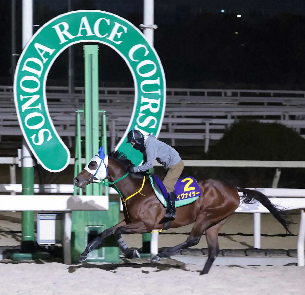 園田競馬場で追い切ったイグナイター（撮影・坂田　高浩）