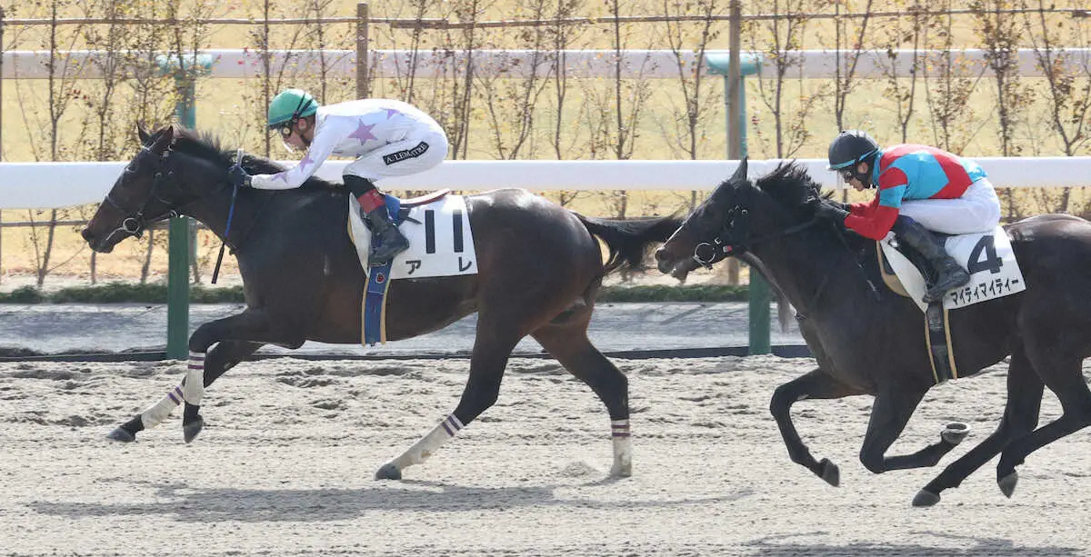 ＜京都3R＞直線で抜け出し勝利するアレ（左）（撮影・亀井　直樹）　