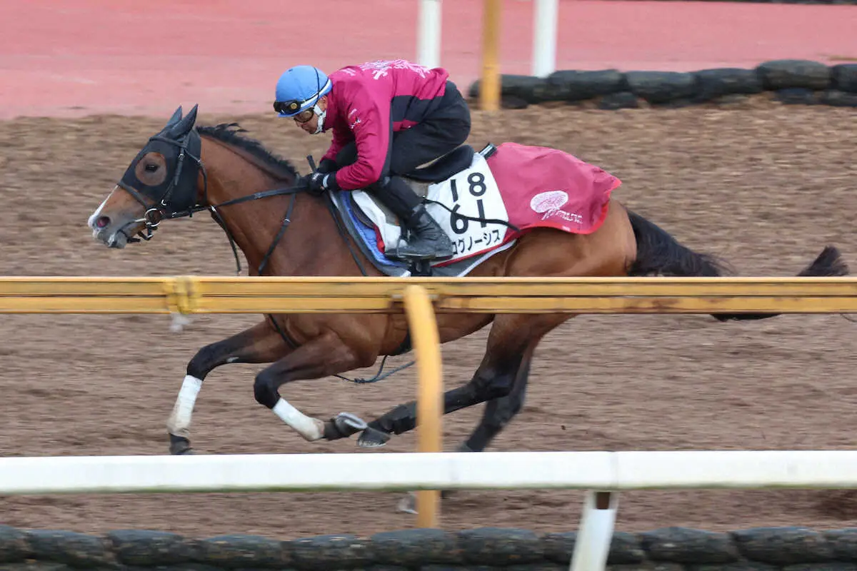 CWコース単走で脚を伸ばしたプログノーシス