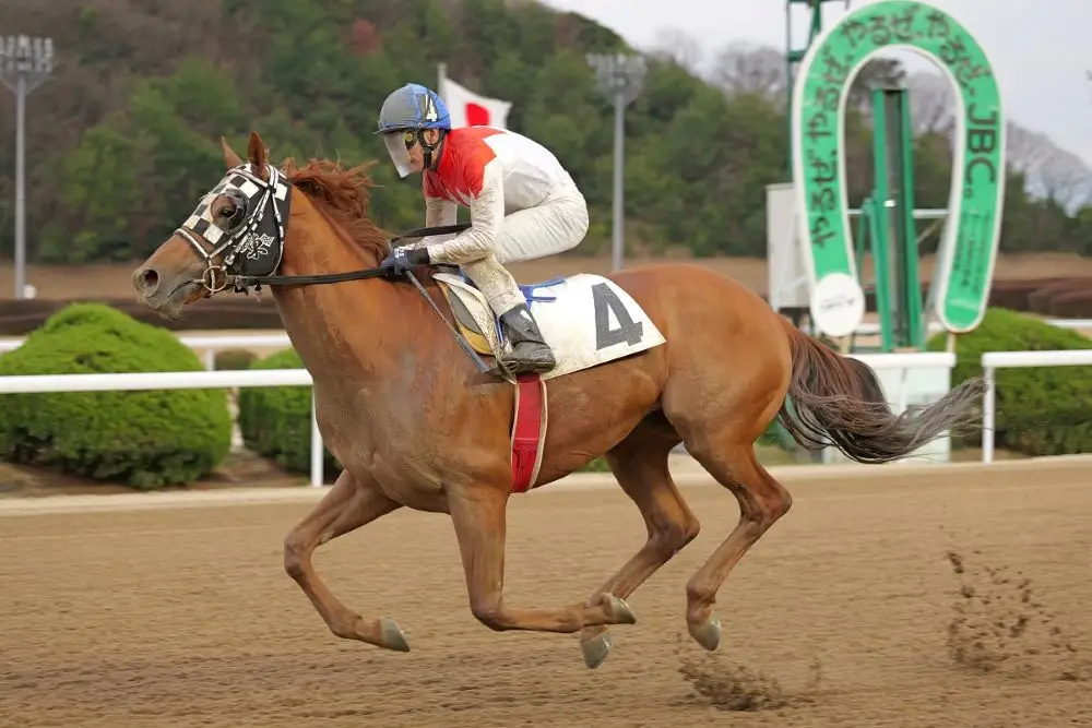 直近4連勝中と気配がいいジョンソンテソーロ