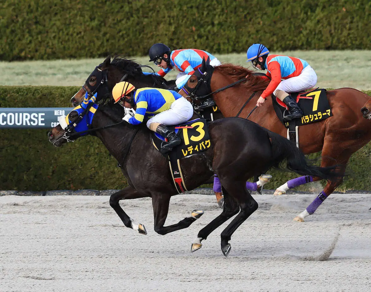＜コーラルS＞ハナ差で差し切って勝利したレディバグ、奥は2着のレオノーレ（撮影・中辻　颯太）