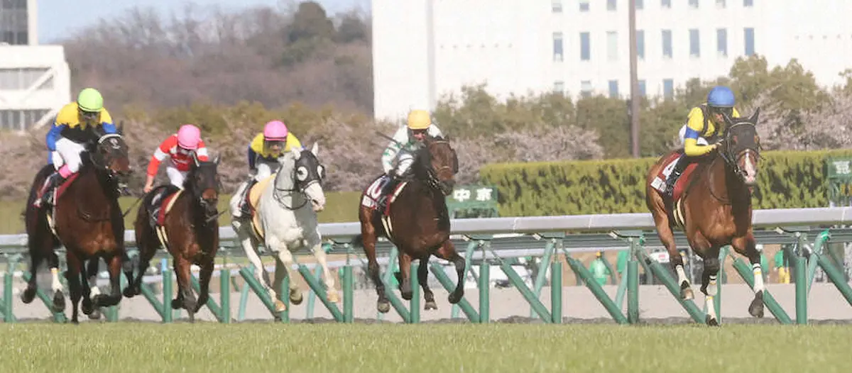 ＜中京11R・金鯱賞＞最後の直線で抜け出し、独走で連覇を達成したプログノーシス（右）（撮影・椎名　航）