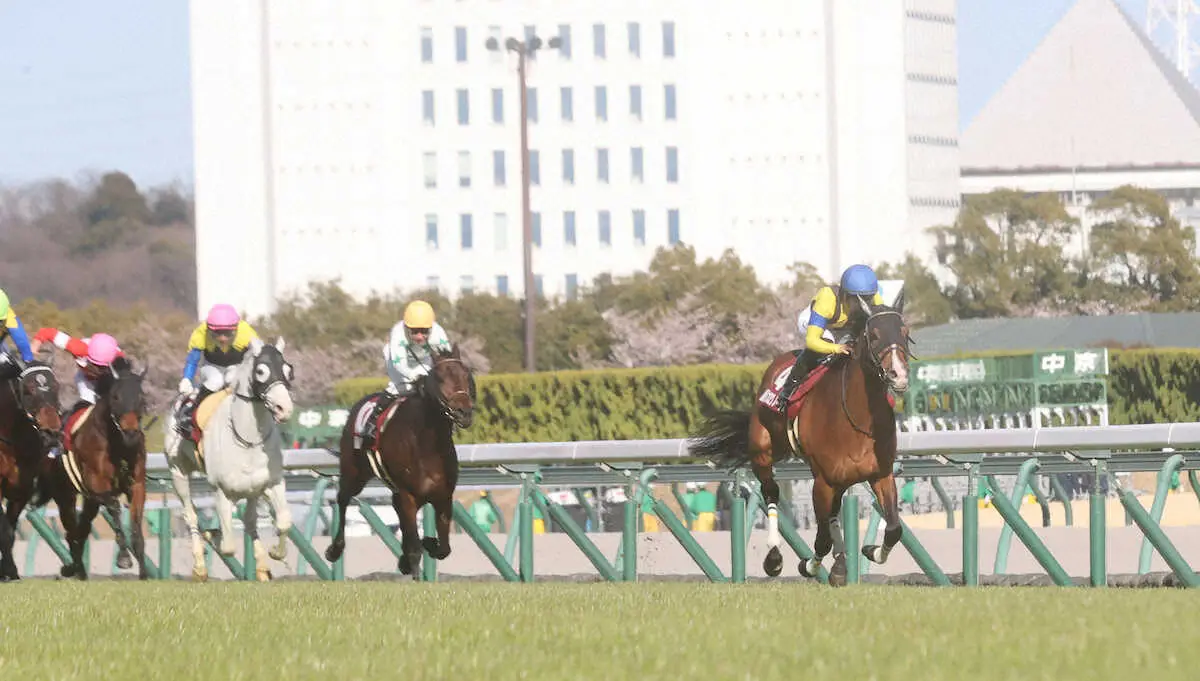 ＜中京競馬11R　金鯱賞＞最後の直線で抜け出したプログノーシス（右）（撮影・椎名　航）