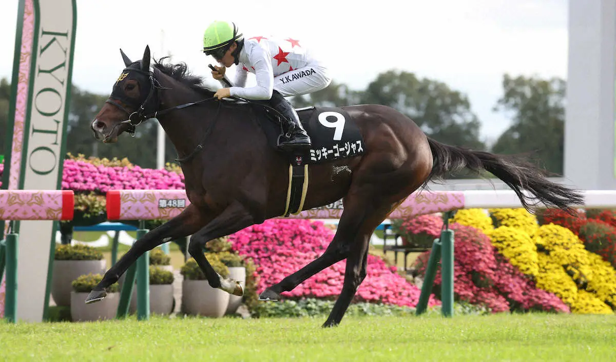 ミッキーゴージャス