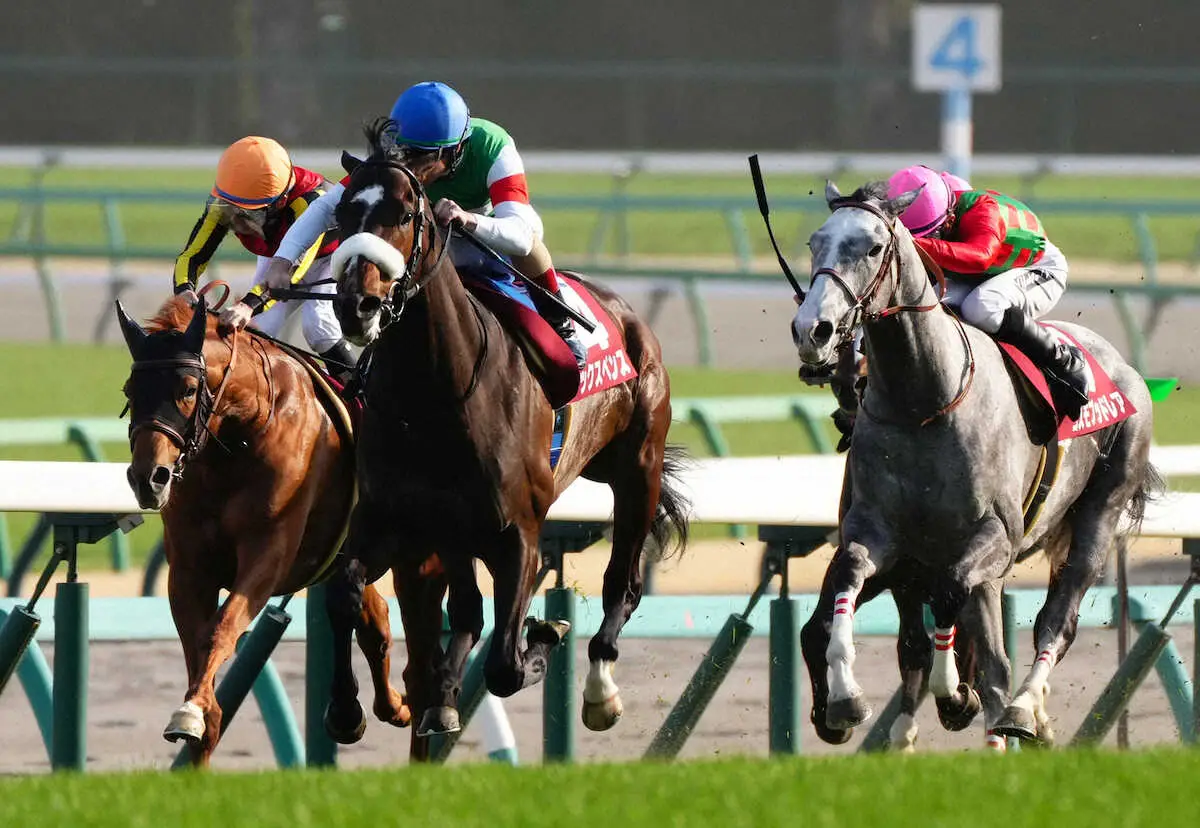 ＜スプリングS＞力強い走りでレースを制したシックスペンス（左から2頭目）＝撮影・郡司　修