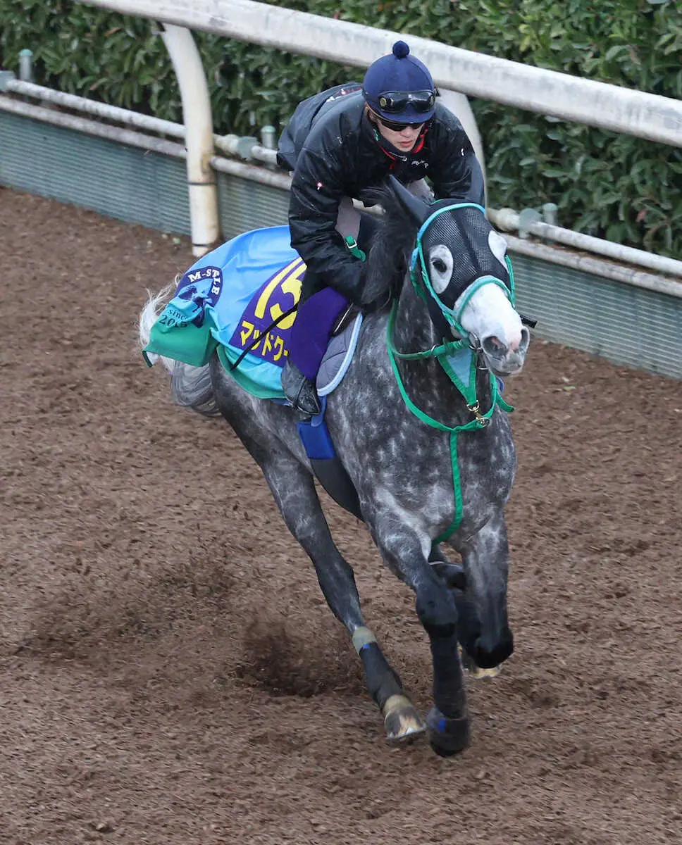 坂井瑠星を背に坂路で追い切るマッドクール（撮影・亀井直樹）　