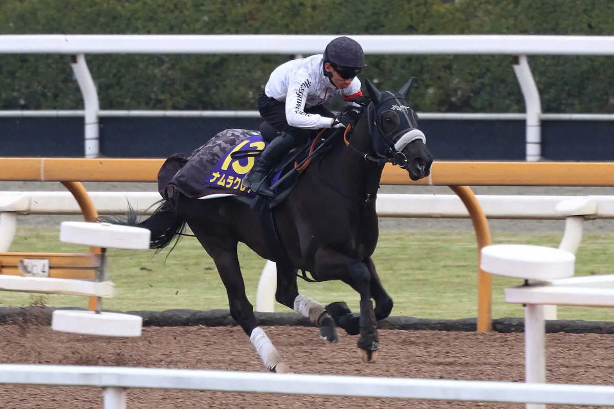 長谷川浩大調教師が騎乗し、CWコースで一杯に追い切られたナムラクレア