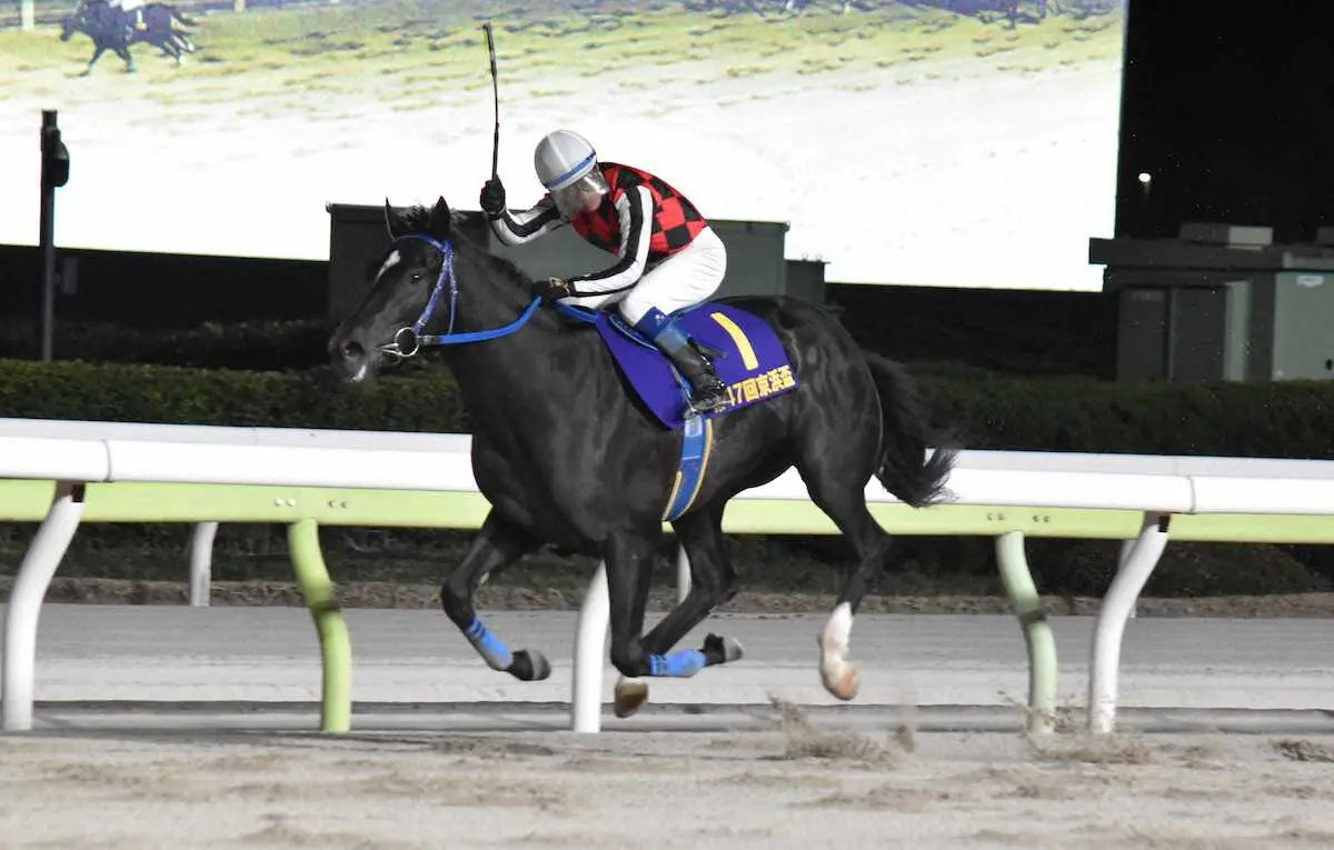 京浜盃を7馬身差で制したサントノーレ