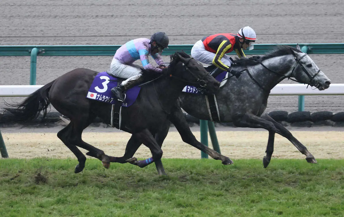 ＜中京11R・高松宮記念＞２着に終わったナムラクレア（左）、右はマッドクール　（撮影・亀井　直樹）　