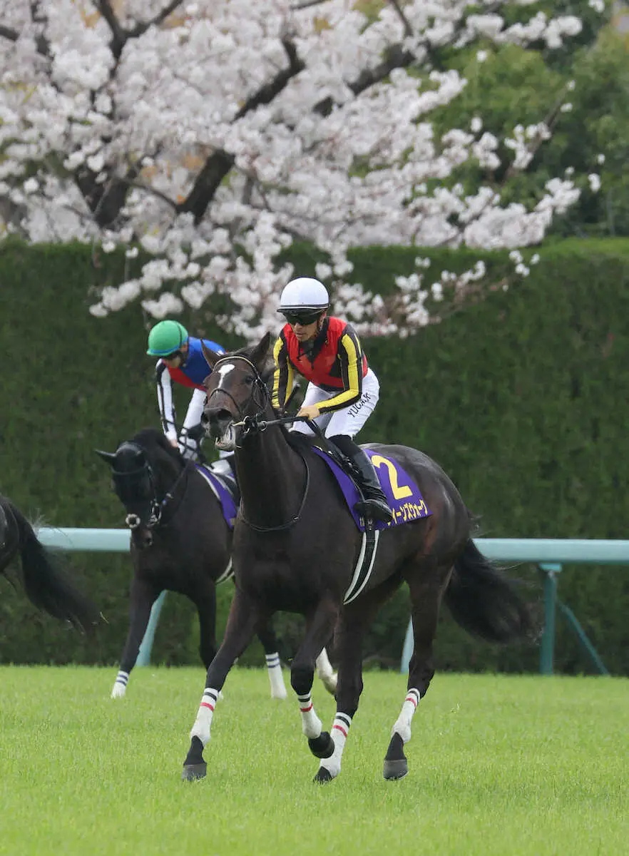 ＜桜花賞＞8着のクイーンズウォーク（撮影・亀井　直樹）