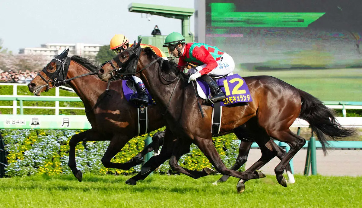 ＜皐月賞＞レースを制したジャスティンミラノ（左）と2着のコスモキュランダ