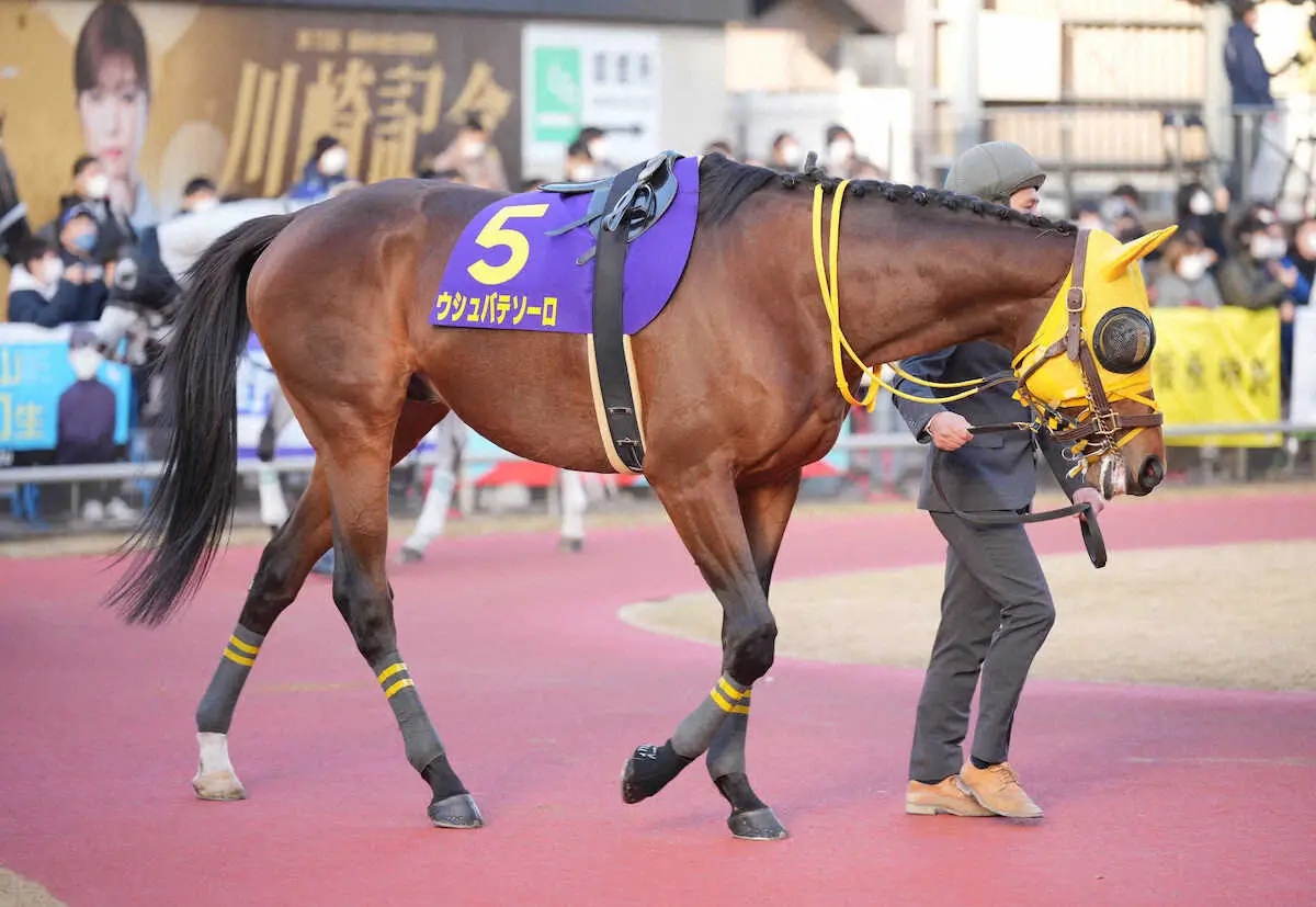 ウシュバテソーロ