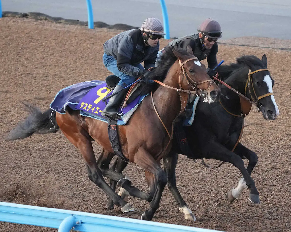 ウッドチップコース、併せ馬で追い切るタスティエーラ（手前）（撮影・郡司修）