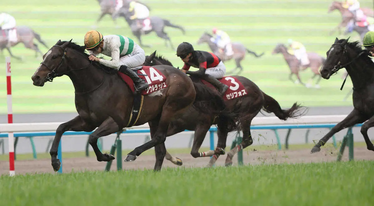 ＜マイラーズC＞レースを制したソウルラッシュ（撮影・井垣　忠夫）