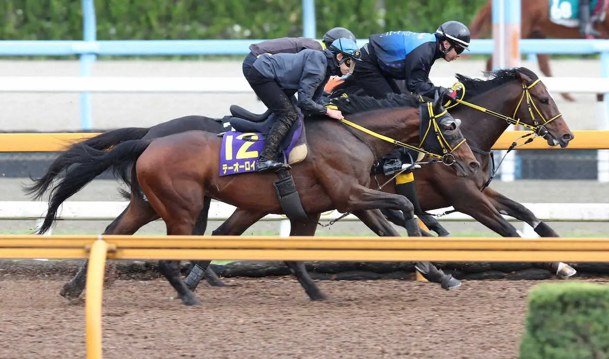 菱田を背にCWコースにて3頭併せで追い切るテーオーロイヤル（左）（撮影・亀井直樹）