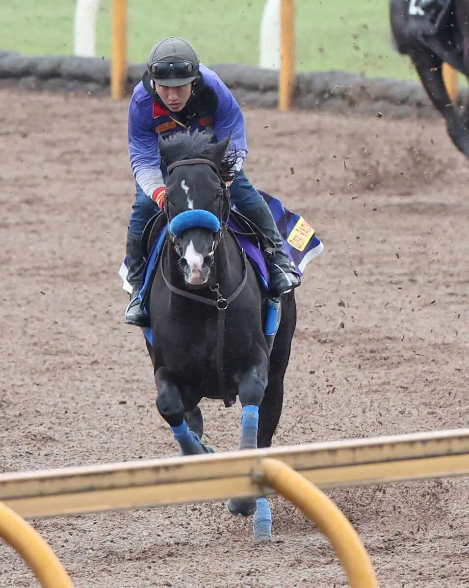 CWコースで追い切るドゥレッツァ（撮影・亀井直樹）