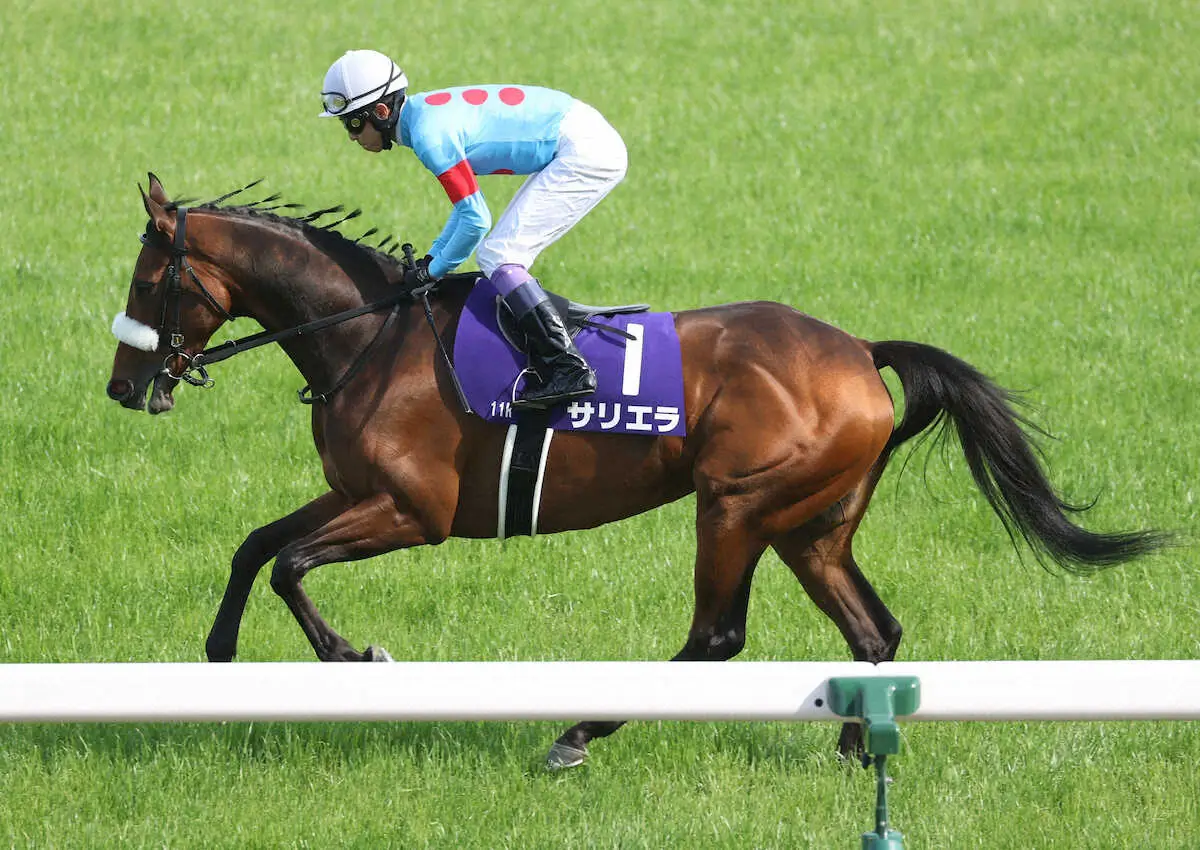 ＜天皇賞・春＞本馬場入場を行うサリエラと武豊騎手（撮影・亀井　直樹）　