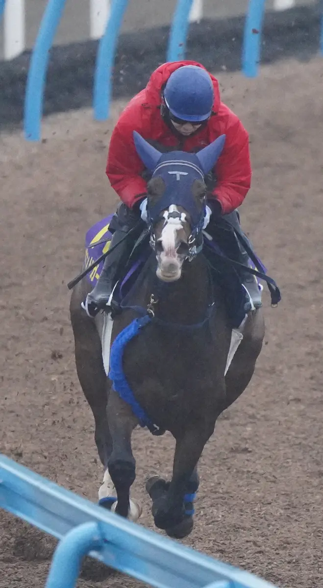 ボンドガールの馬名の由来は…
