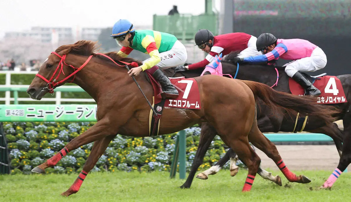 ニュージーランドT、ゴール前で競り勝ったエコロブルーム（撮影・村上　大輔）