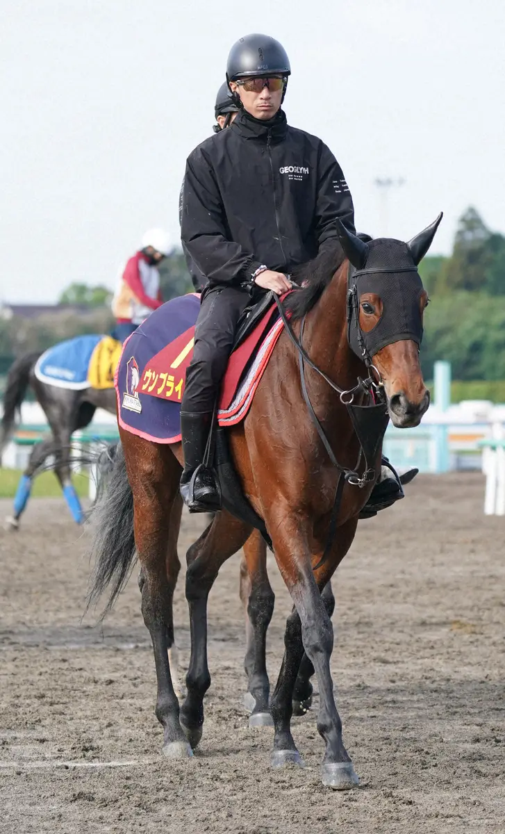 阪神牝馬S2着からヴィクトリアMに臨むウンブライル