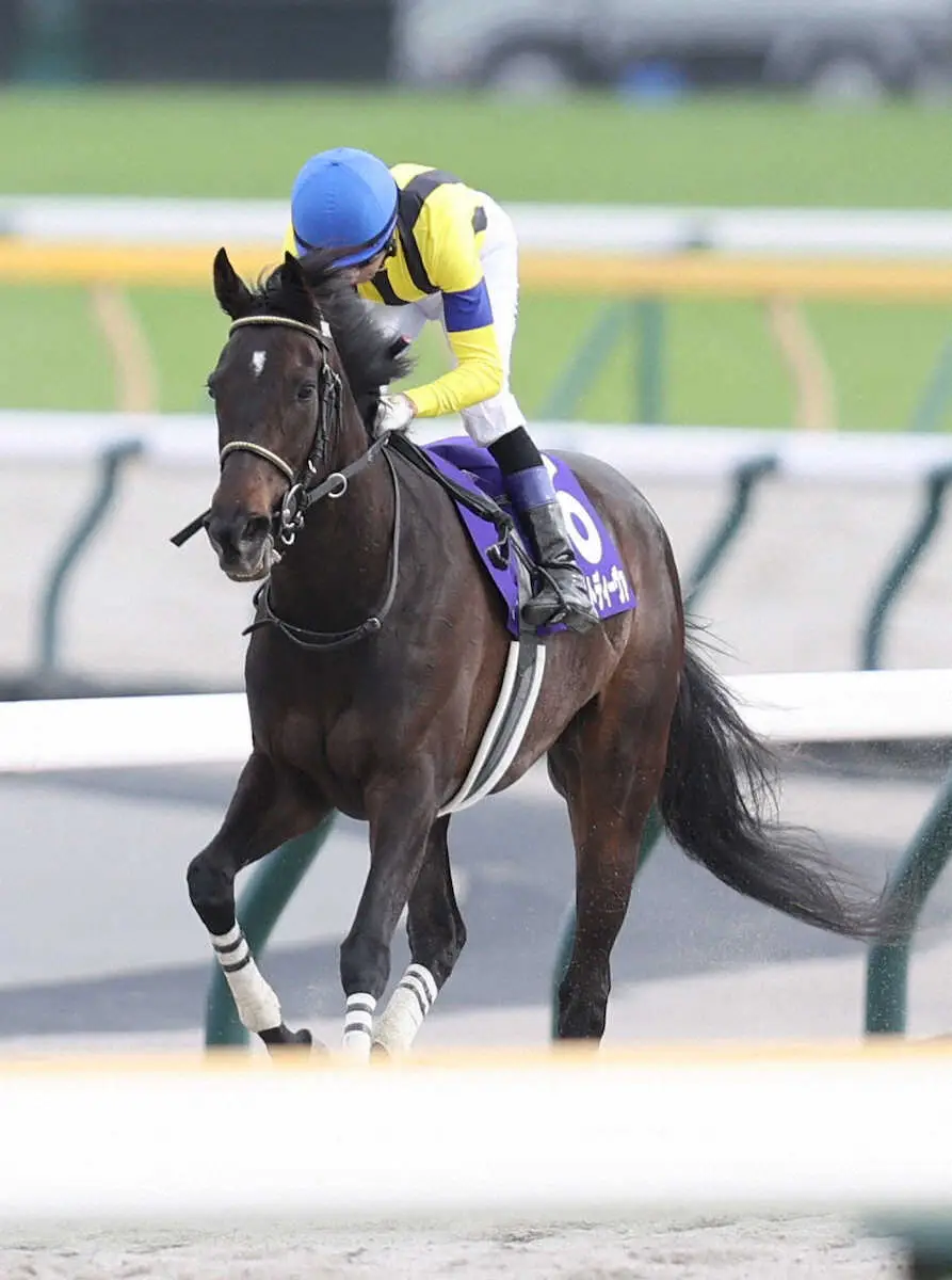 ＜ヴィクトリアM＞3着のマスクトディーヴァ（撮影・村上　大輔）