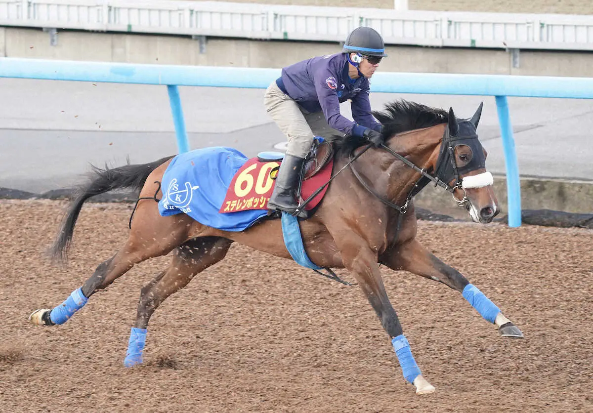 併せで追い切るステレンボッシュ（撮影・村上　大輔）