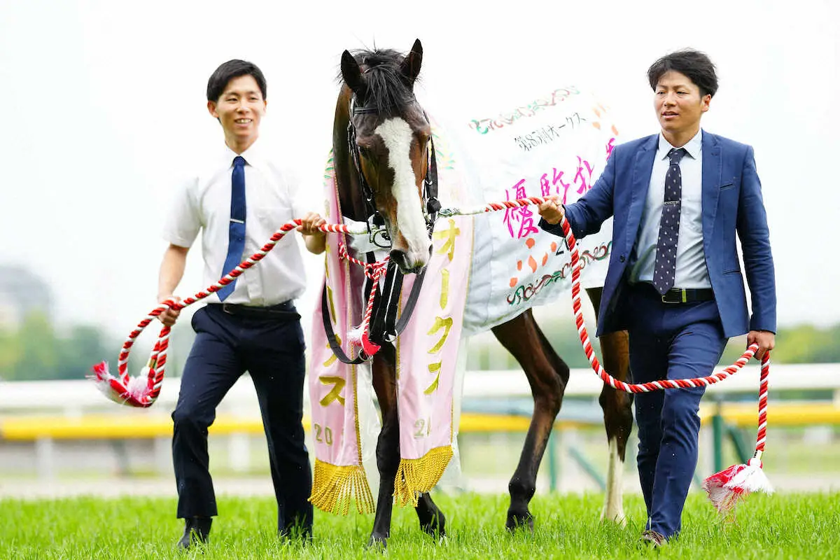 ＜東京11R・オークス＞レースを制したチェルヴィニア（撮影・河野　光希）