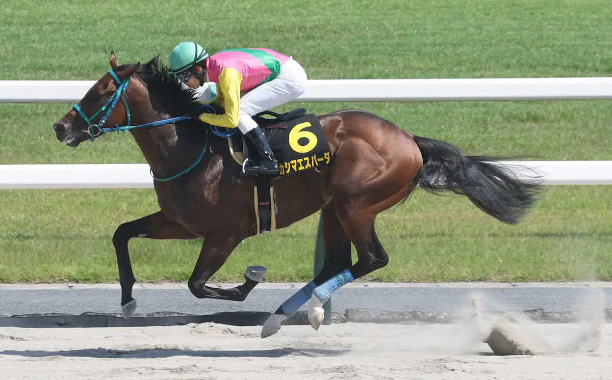 ＜鳳雛S＞直線で抜け出し勝利するカシマエスパーダ（撮影・亀井　直樹）　