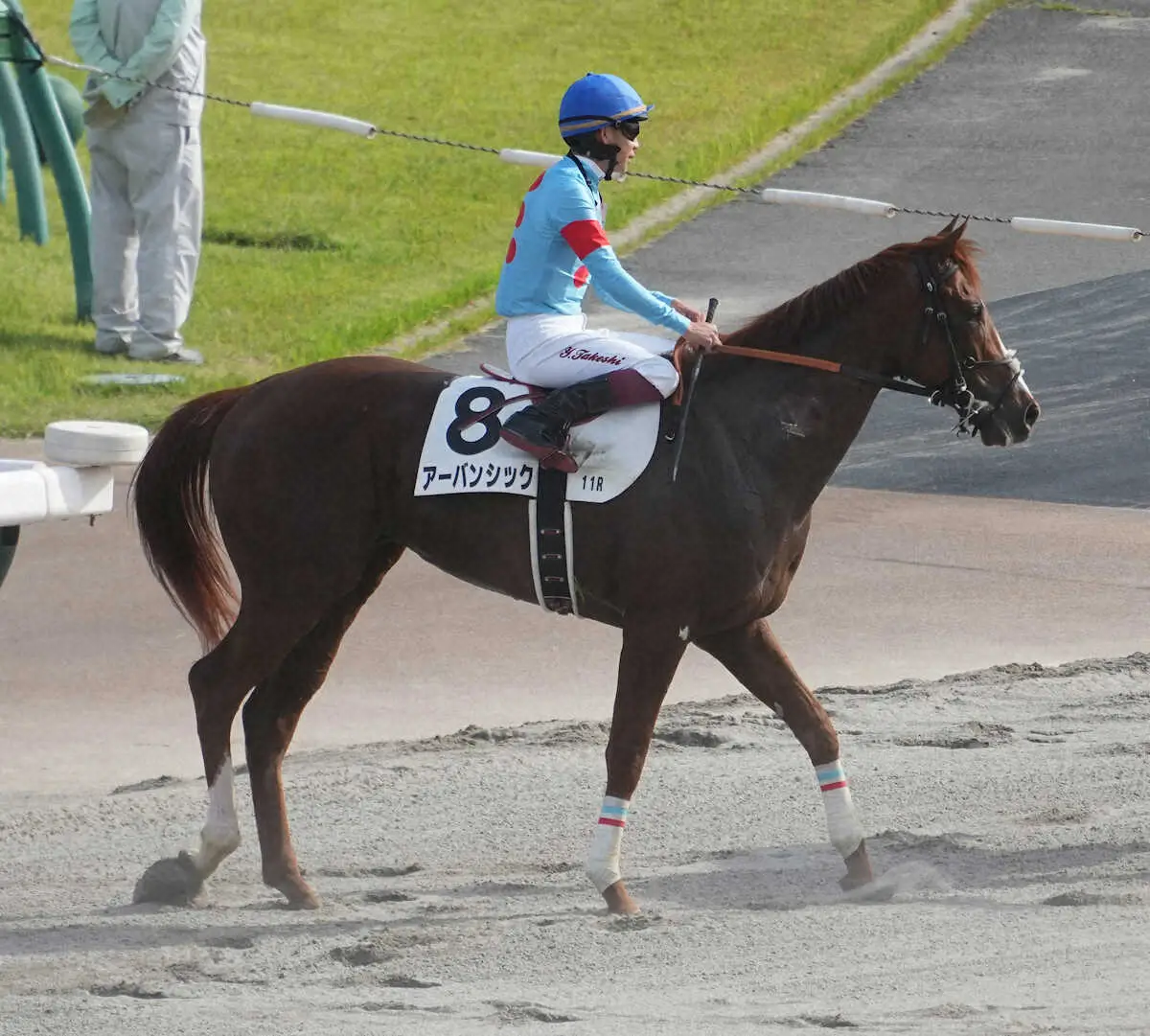 ＜日本ダービー＞11着だったアーバンシック（撮影・沢田　明徳）