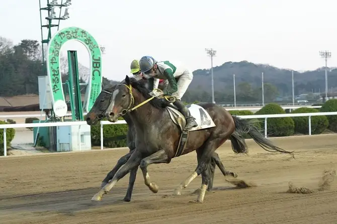 近況は重賞でも好走しているグローリー