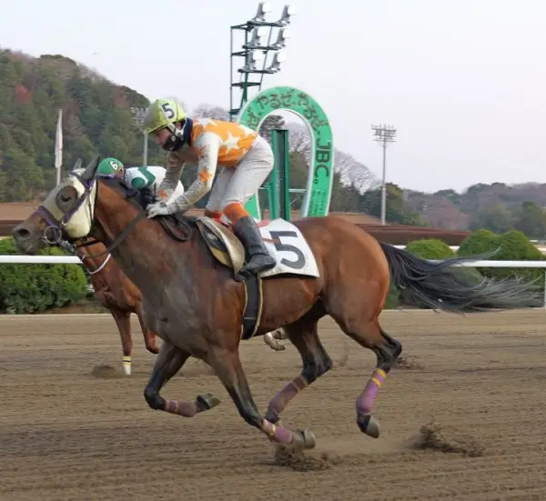 しぶとい走りで重賞路線に定着しているアイリッシュセンス
