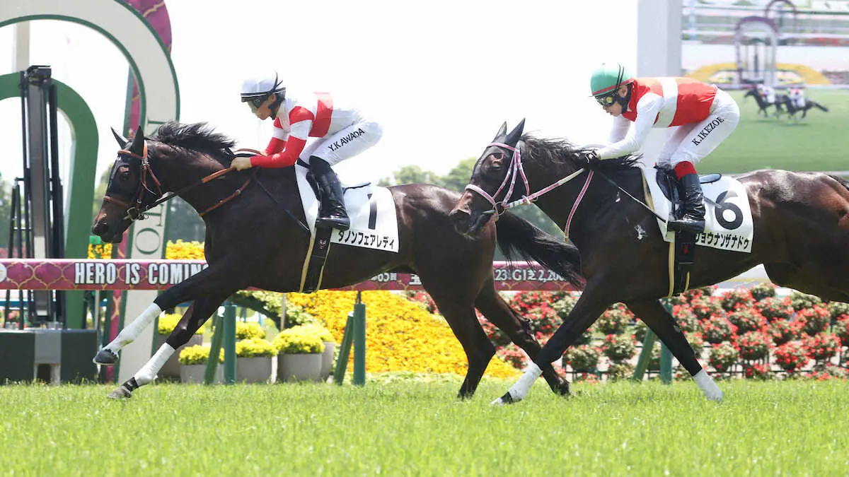 ＜京都5R＞ショウナンザナドゥ（右）を振り切り勝利するダノンフェアレディ（撮影・亀井　直樹）　