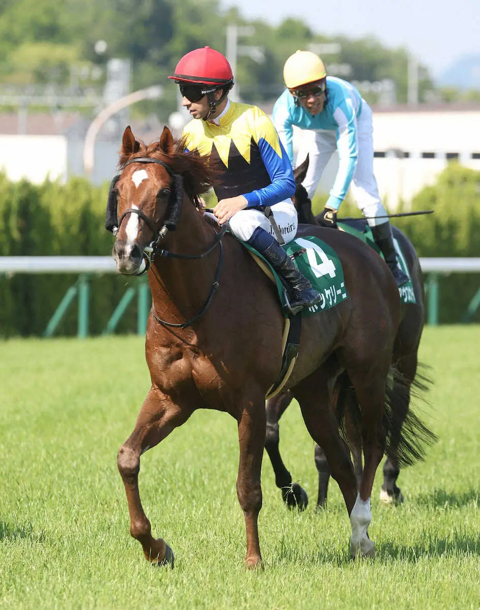 ＜鳴尾記念＞2着のボッケリーニ（撮影・亀井　直樹）　