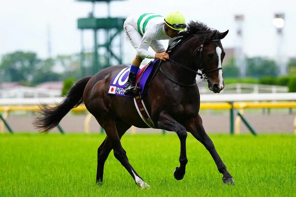 ＜安田記念＞返し馬に臨むモレイラ騎乗のソウルラッシュ。レースは3着だった（撮影・河野　光希）