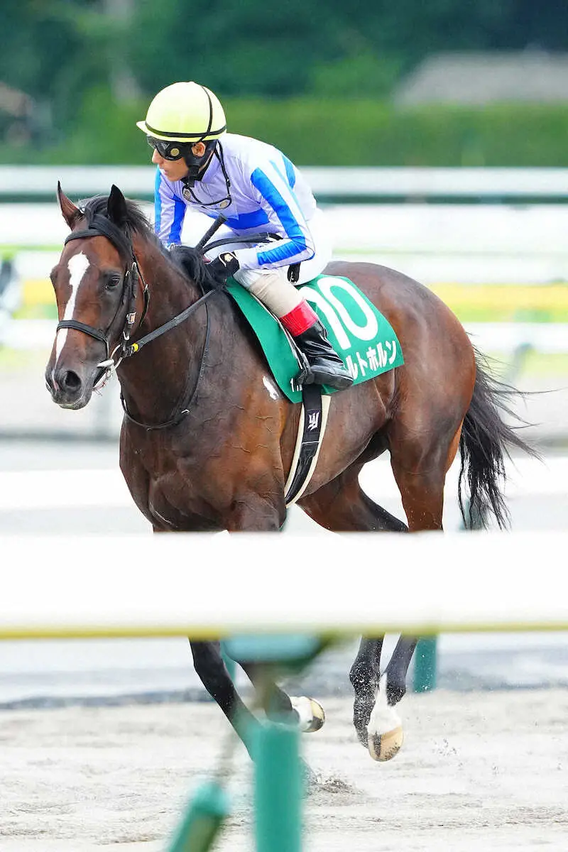 ＜エプソムC＞3着の吉田豊騎乗、シルトホルン（撮影・河野　光希）