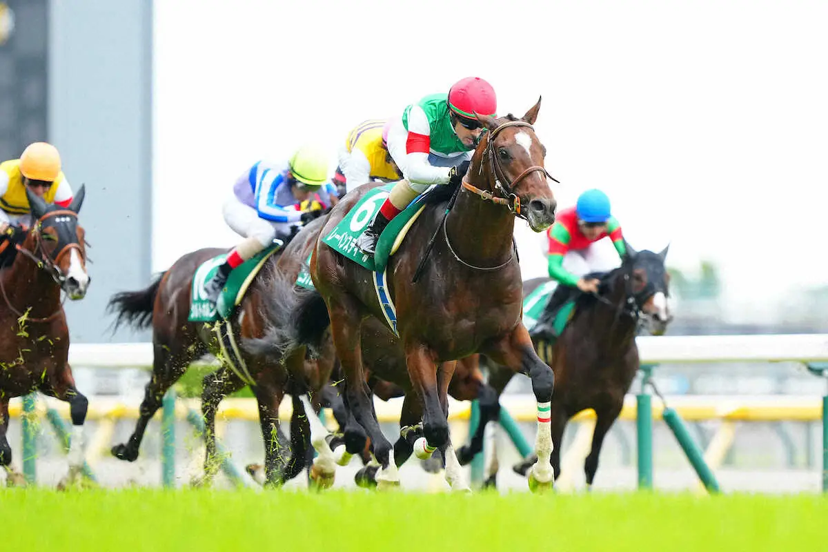＜東京11R・エプソムC＞初コンビのルメールを背に完勝したレーベンスティール（撮影・河野　光希）