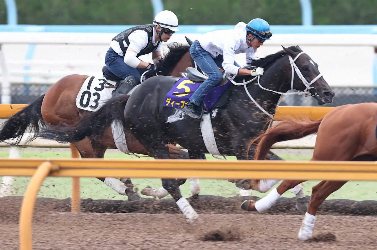＜宝塚記念・1週前追い切り＞幸騎手を背にCWコースで追い切るディープボンド（右）（撮影・亀井　直樹）