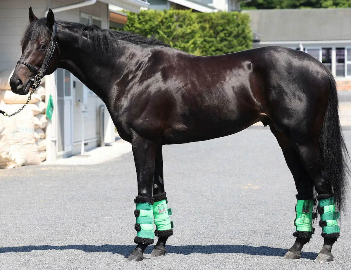 ジャスティンパレス