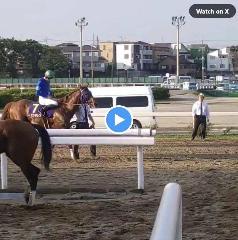 【動画】浦和競馬　さきたま杯　優勝は１番人気のレモンポップ!!　