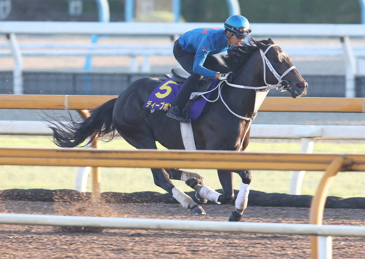 ＜宝塚記念＞CWコースで追い切るディープボンド（撮影・亀井　直樹）