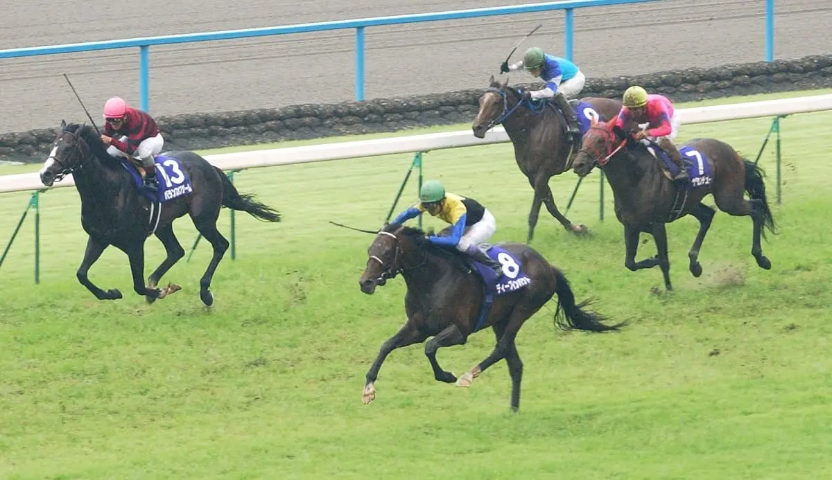優勝したディープインパクト（中央）と２着に入ったナリタセンチュリー（右）