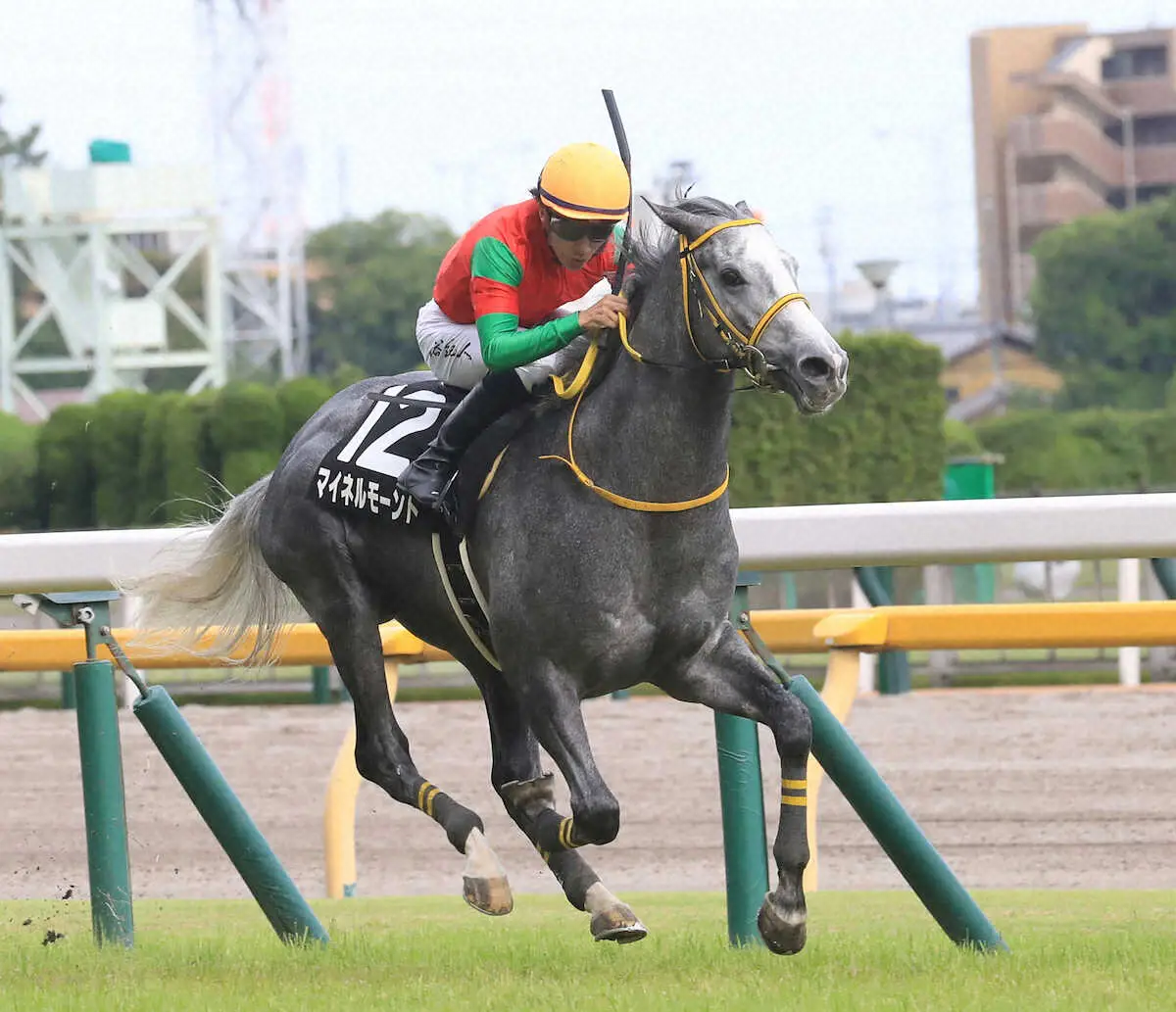 ＜江ノ島S＞レースを制した石川騎乗のマイネルモーント　（撮影・西川祐介）