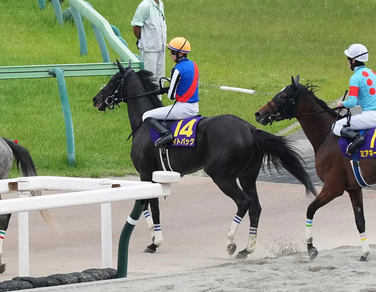 ライトバック