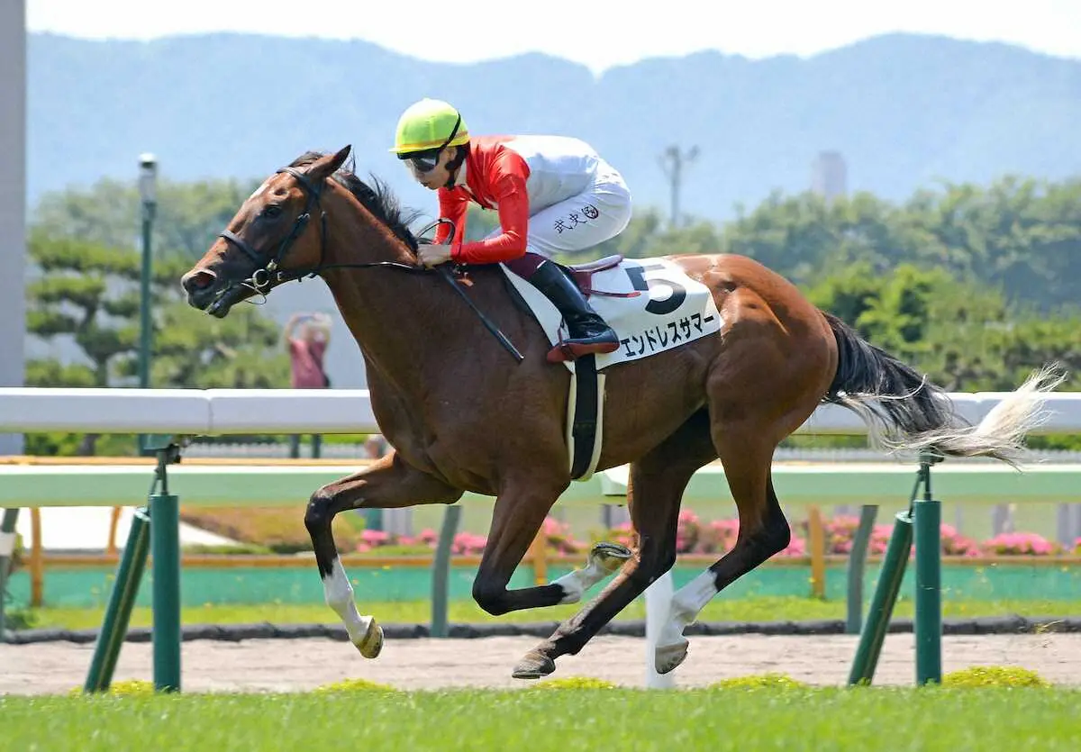 ＜函館5R新馬戦＞スタート直後から先頭に立ちそのまま逃げ切って勝ったエンドレスサマーと横山武史騎手（撮影・千葉　茂）