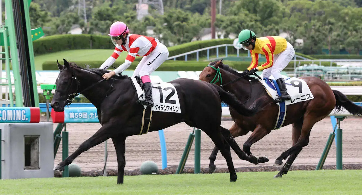＜小倉5R＞レースを制したケイテンアイジン（左）（撮影・成瀬　徹）