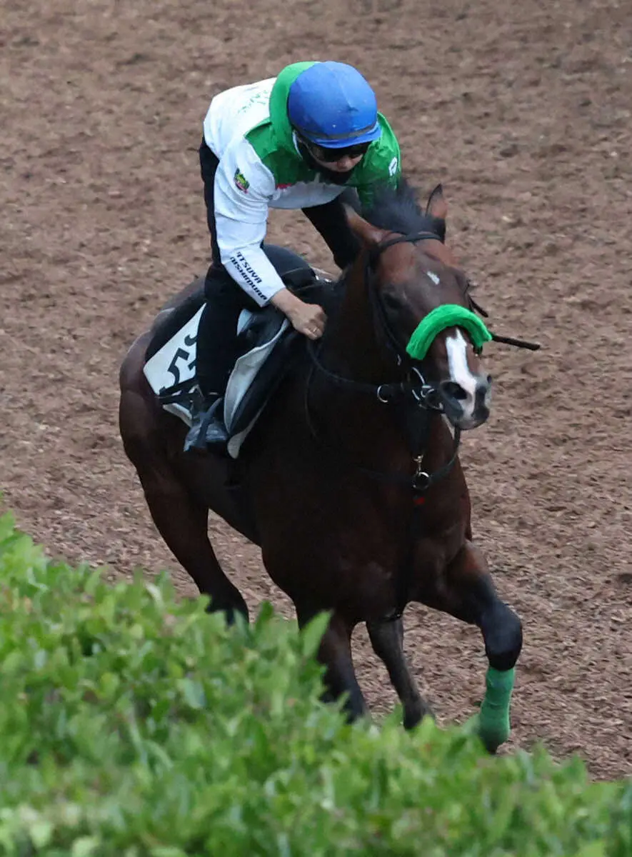 西村淳也を背に坂路で追い切るエルトンバローズ（撮影・亀井直樹）